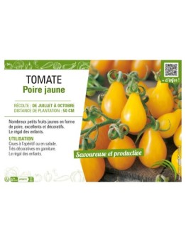 TOMATE POIRE JAUNE
