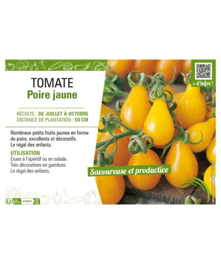TOMATE POIRE JAUNE