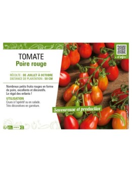 TOMATE POIRE ROUGE