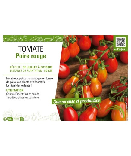 TOMATE POIRE ROUGE