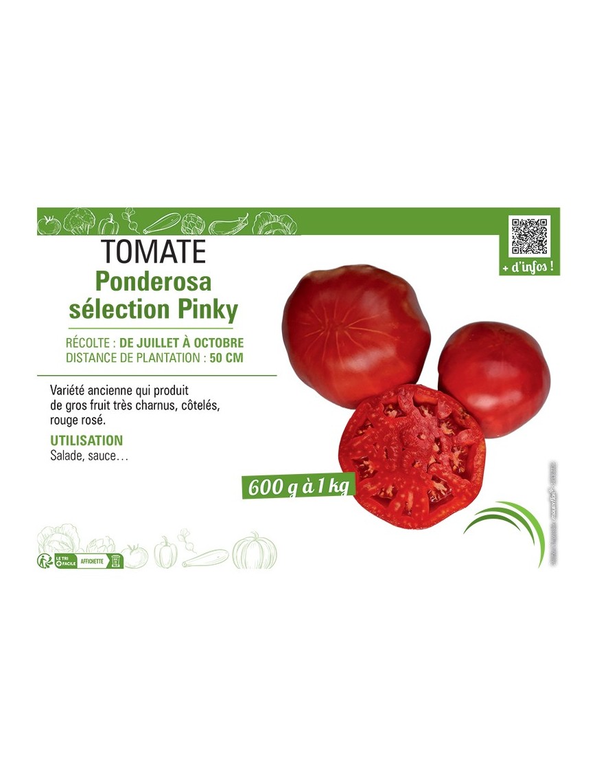 TOMATE PONDEROSA SELECTION PINKY