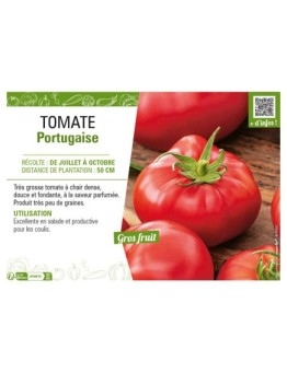 TOMATE PORTUGAISE