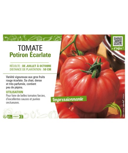 TOMATE POTIRON ÉCARLATE