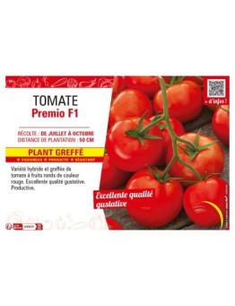 TOMATE PREMIO F1 Plant greffé