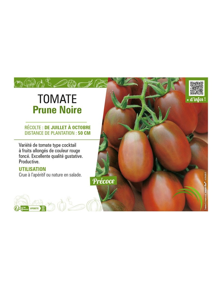 TOMATE PRUNE NOIRE