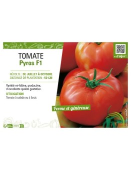 TOMATE PYROS F1
