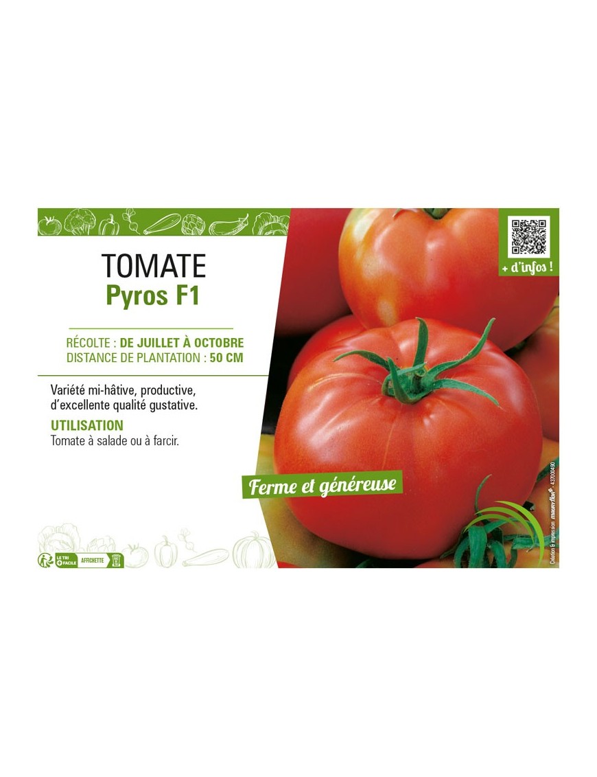 TOMATE PYROS F1