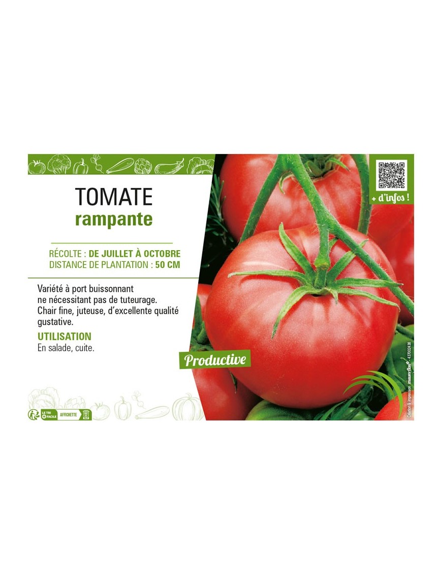 TOMATE RAMPANTE
