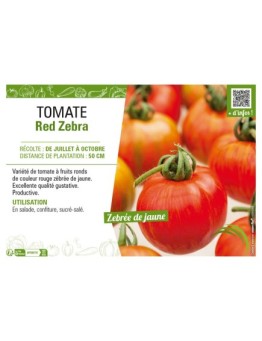 TOMATE RED ZEBRA