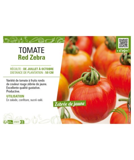 TOMATE RED ZEBRA