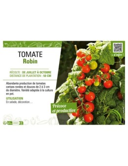 TOMATE ROBIN