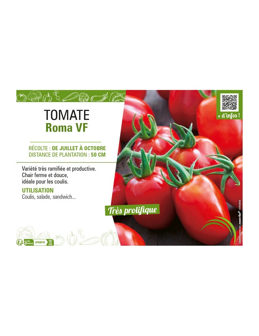 TOMATE ROMA VF