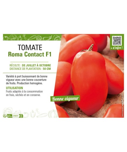 TOMATE ROMA CONTACT F1