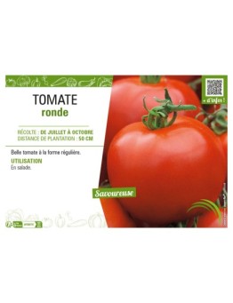TOMATE RONDE