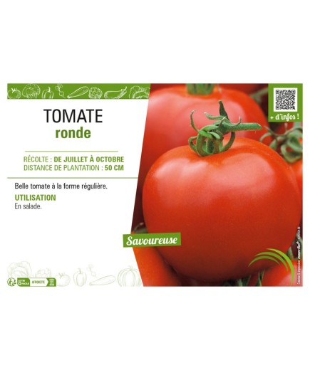 TOMATE RONDE