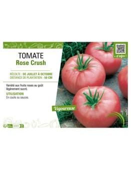 TOMATE ROSE CRUSH