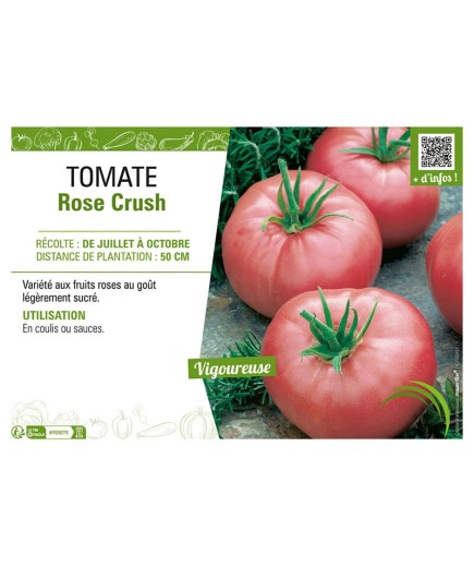 TOMATE ROSE CRUSH
