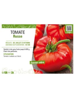 TOMATE RUSSE