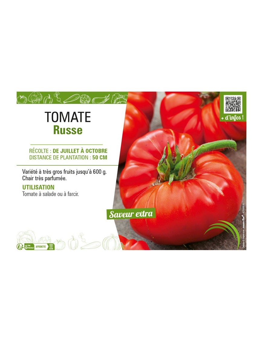 TOMATE RUSSE