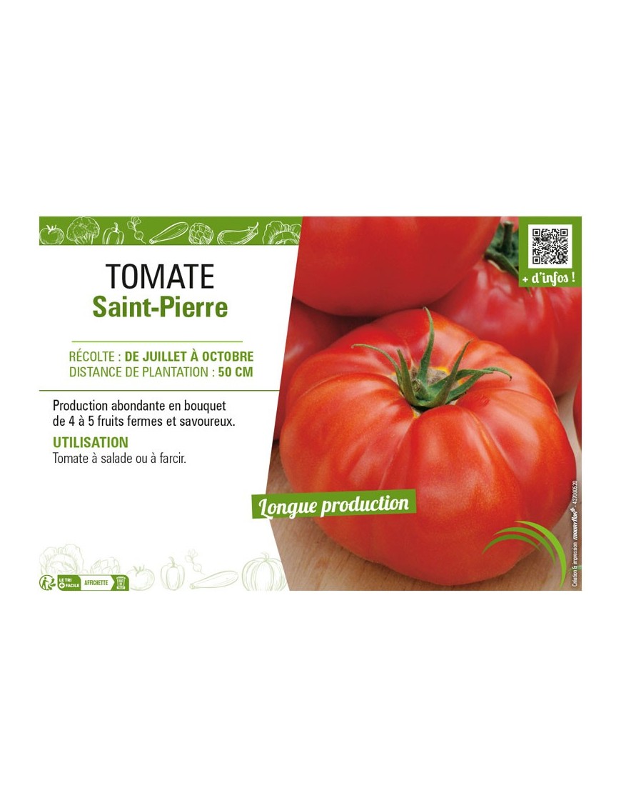 TOMATE SAINT-PIERRE