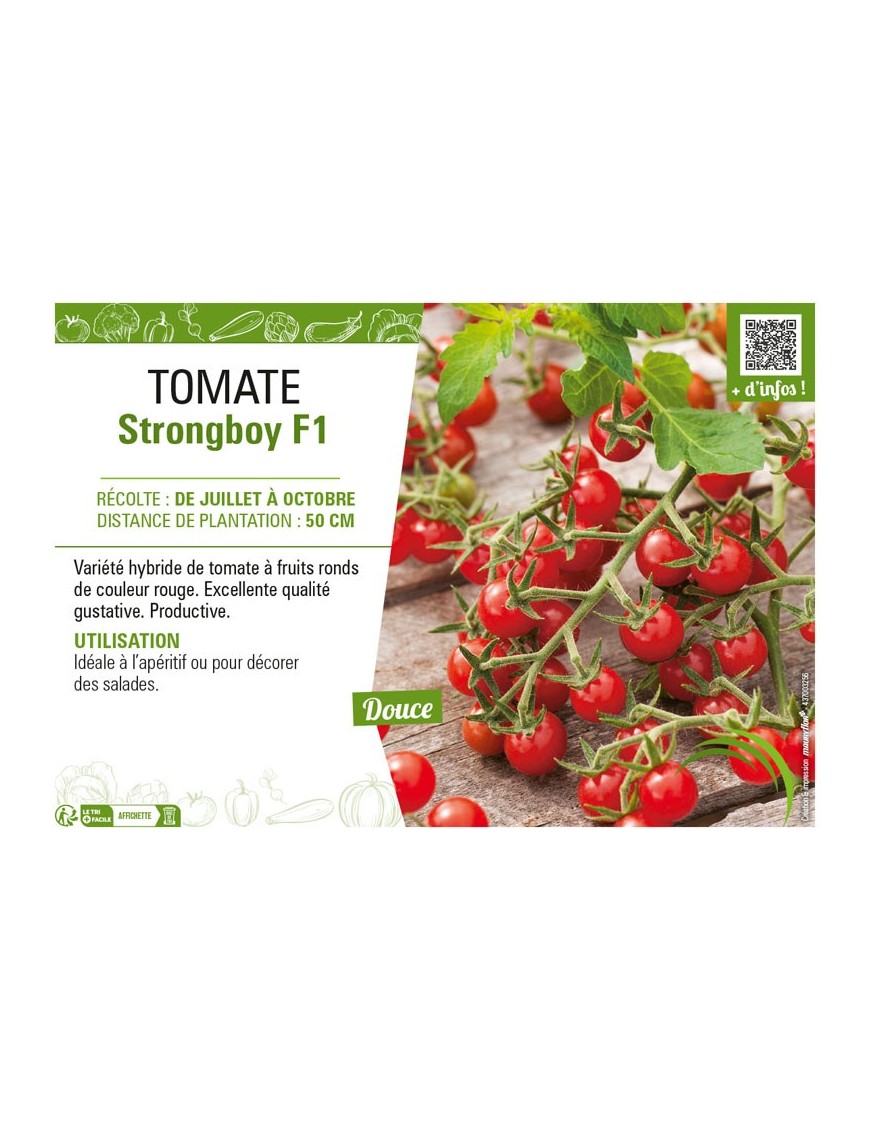 TOMATE STRONGBOY F1