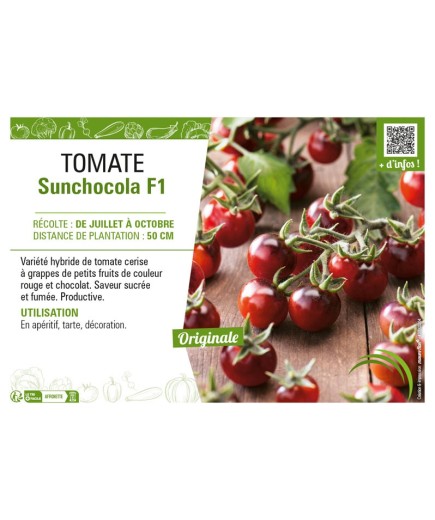 TOMATE SUNCHOCOLA F1