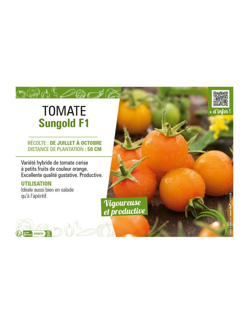 TOMATE SUNGOLD F1