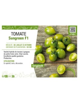 TOMATE SUNGREEN F1