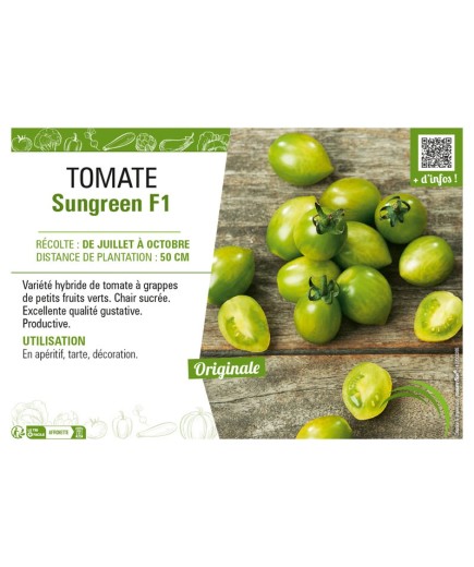 TOMATE SUNGREEN F1