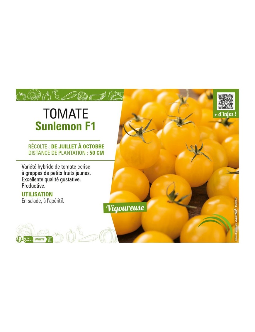 TOMATE SUNLEMON F1
