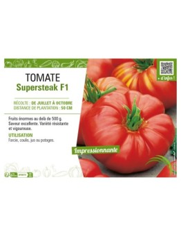 TOMATE SUPERSTEAK F1