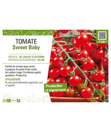 TOMATE SWEET BABY
