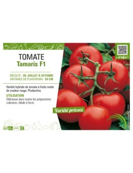 TOMATE TAMARIS F1