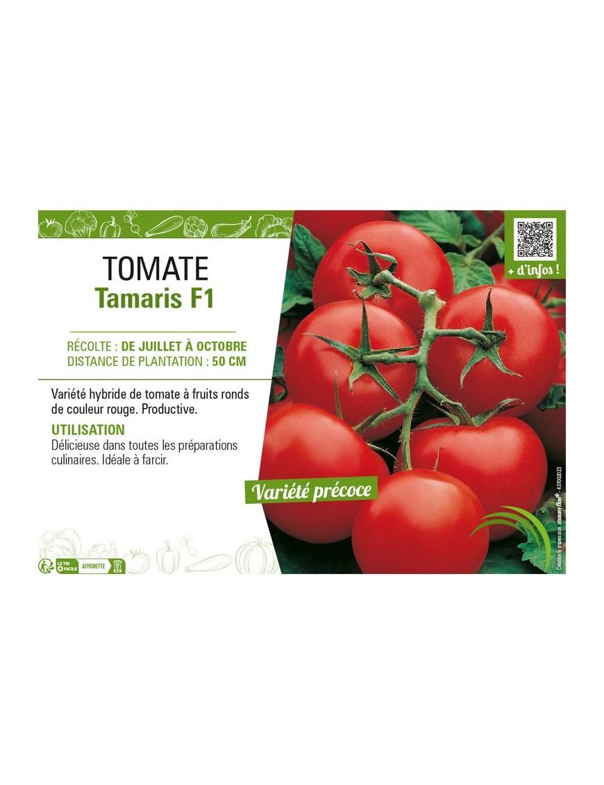 TOMATE TAMARIS F1