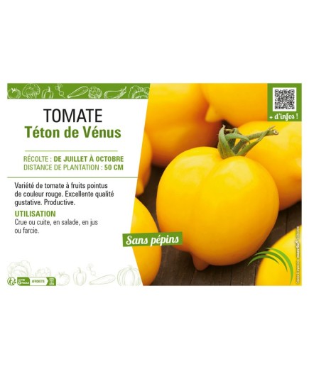 TOMATE TÉTON DE VENUS