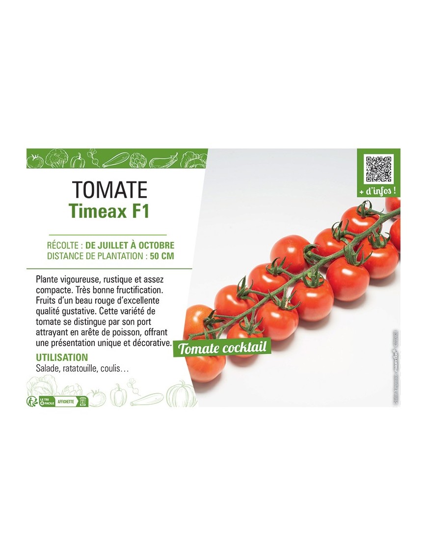 TOMATE TIMEAX F1