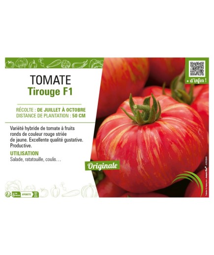 TOMATE TIROUGE F1