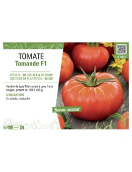 TOMATE TOMANDE F1