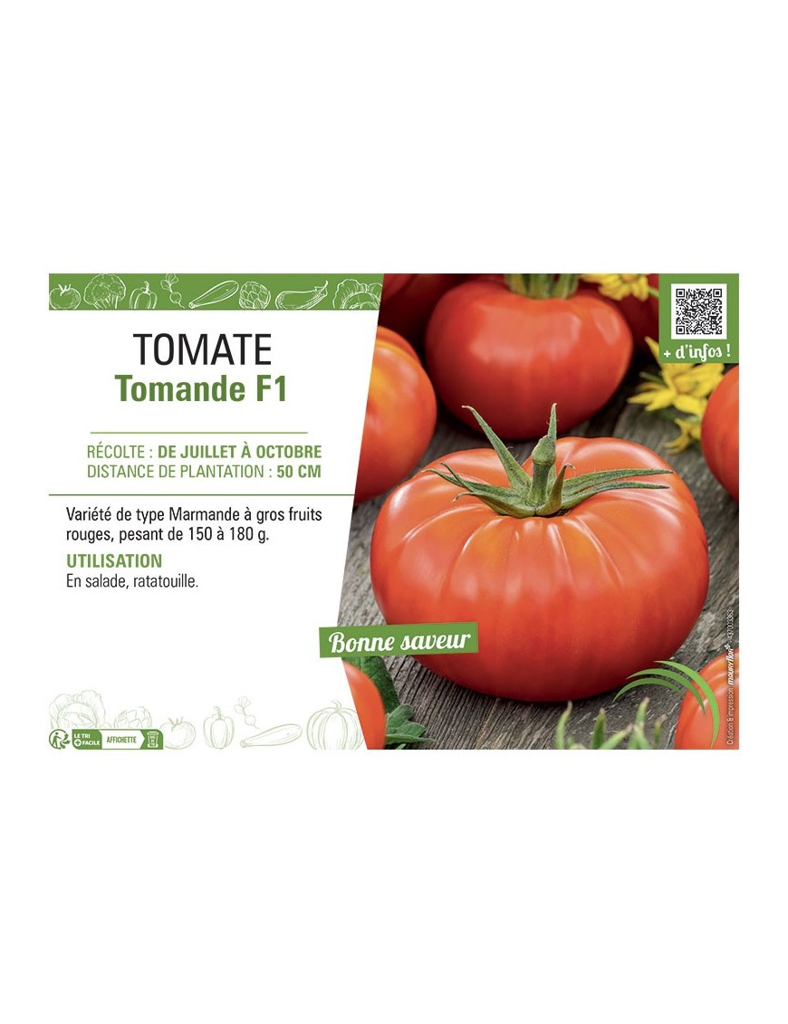 TOMATE TOMANDE F1