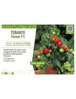 TOMATE TOTEM F1