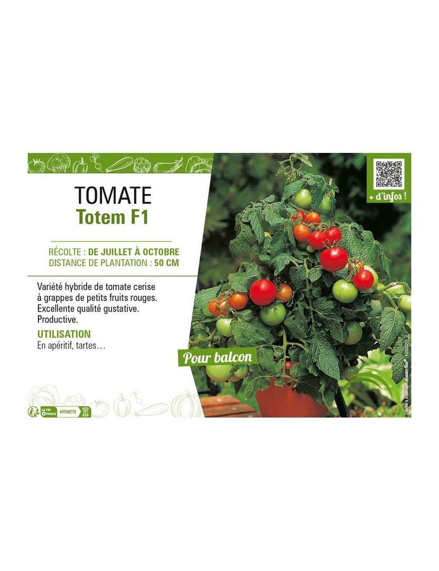 TOMATE TOTEM F1