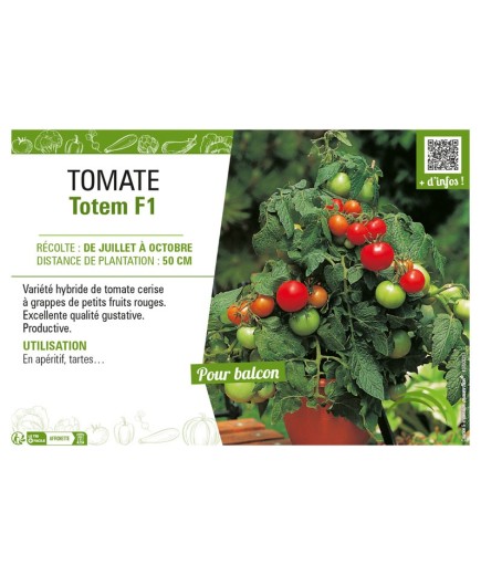 TOMATE TOTEM F1