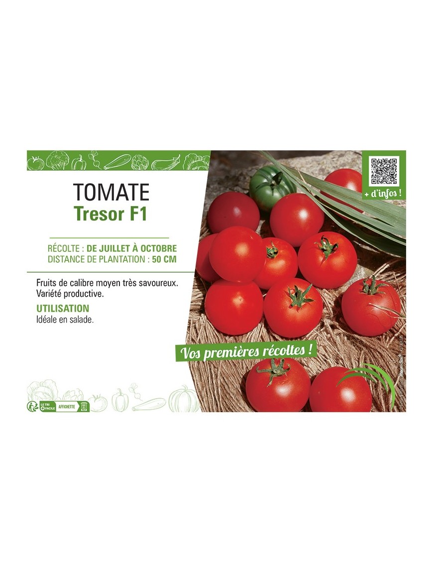 TOMATE TRESOR F1