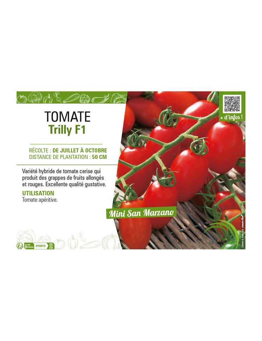 TOMATE TRILLY F1