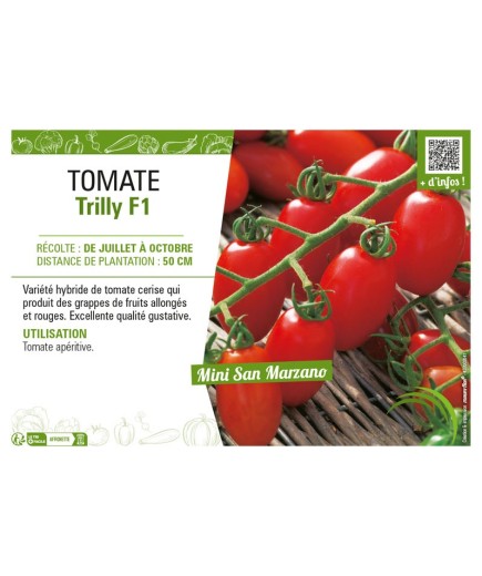 TOMATE TRILLY F1