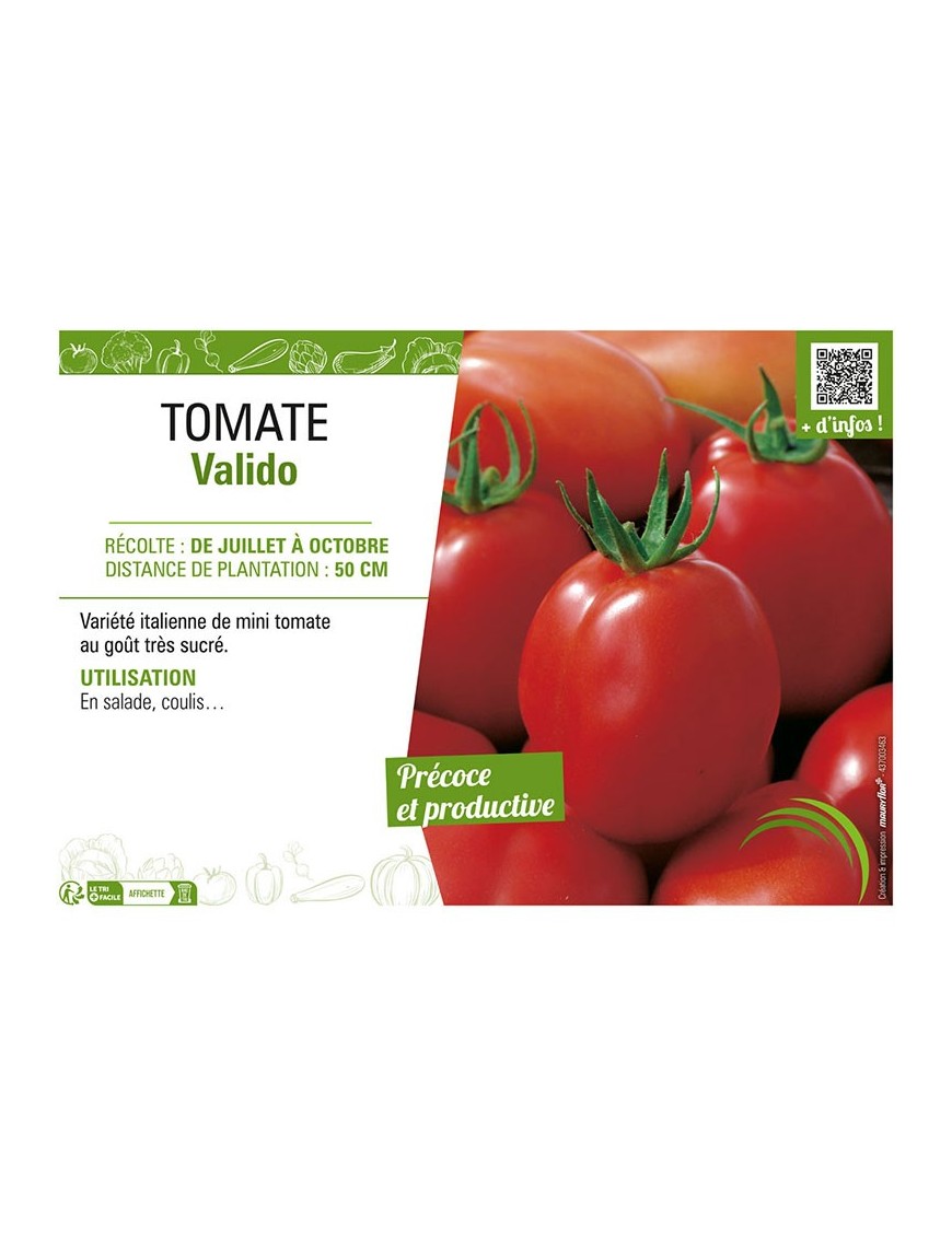 TOMATE VALIDO