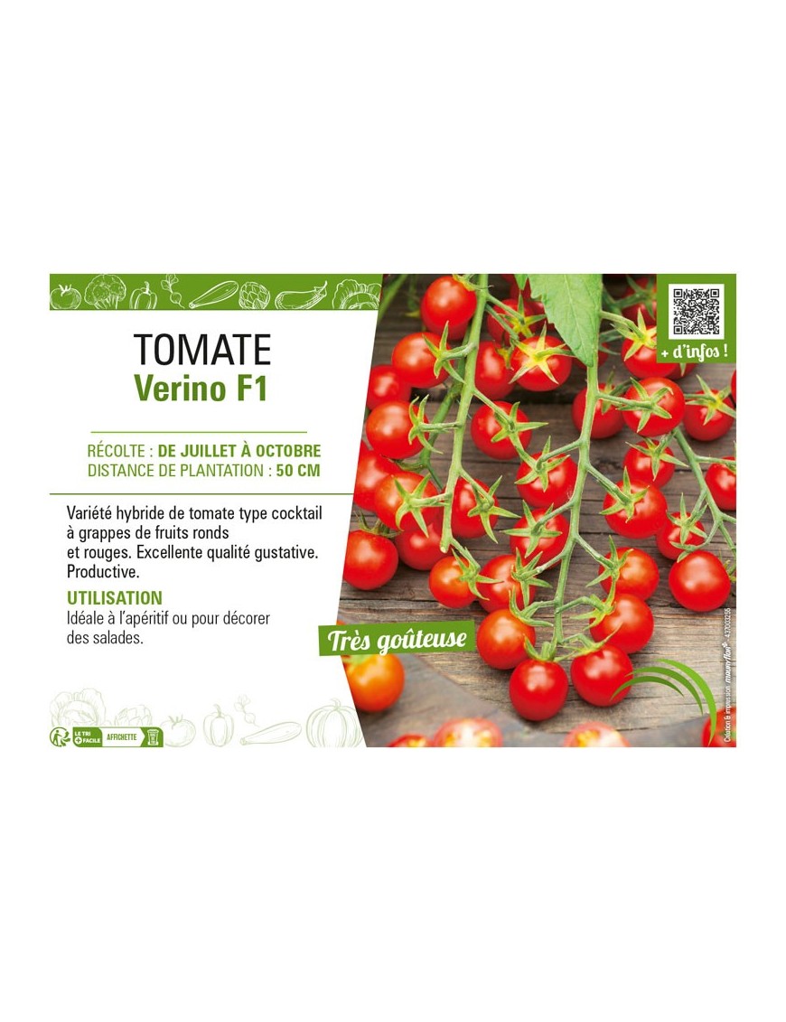 TOMATE VERINO F1