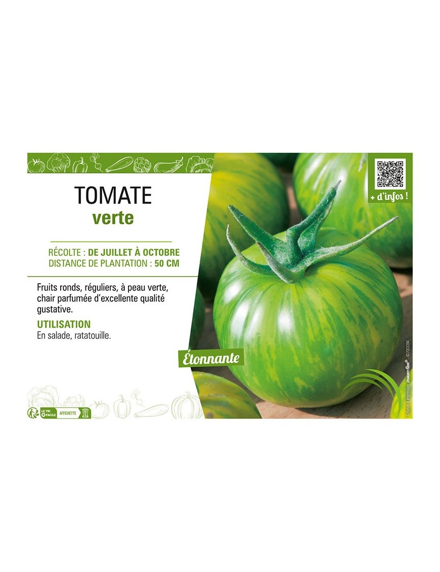 TOMATE VERTE