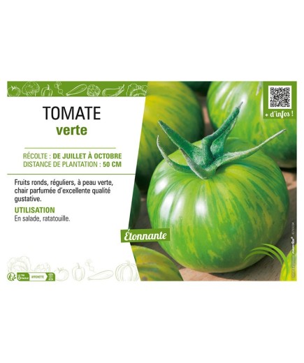 TOMATE VERTE