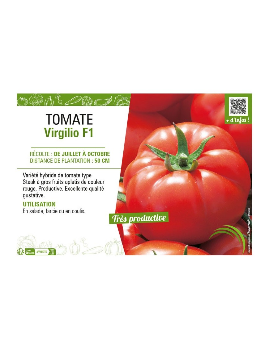 TOMATE VIRGILIO F1